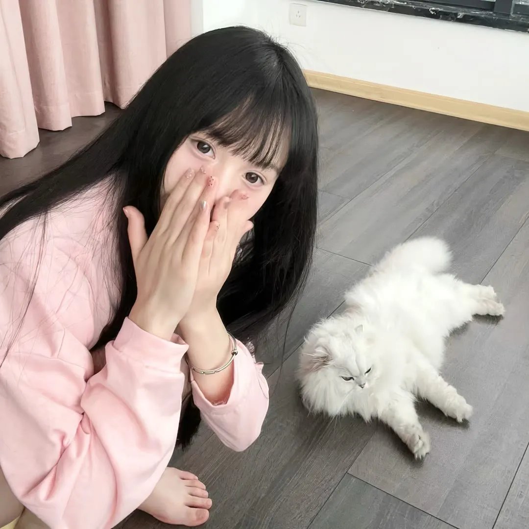 谍报飞龙